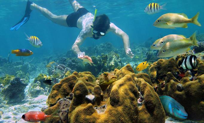Iguana Park, Snorkel and Island Tour